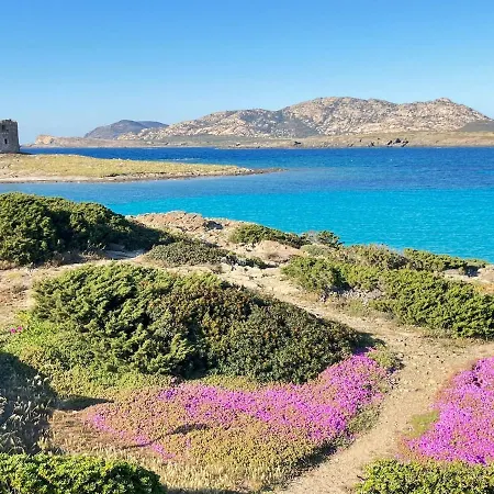 Rosso Lilu' Casa Con Vista Mozzafiato Sulla Pelosa Apartamento Stintino